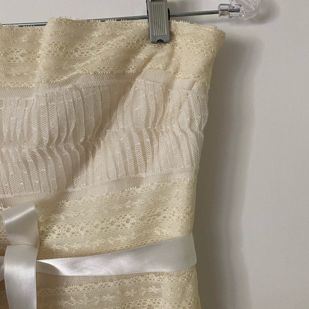 BCBGMaxAzria Silk & Lace Feather Dress